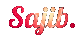 logo-image